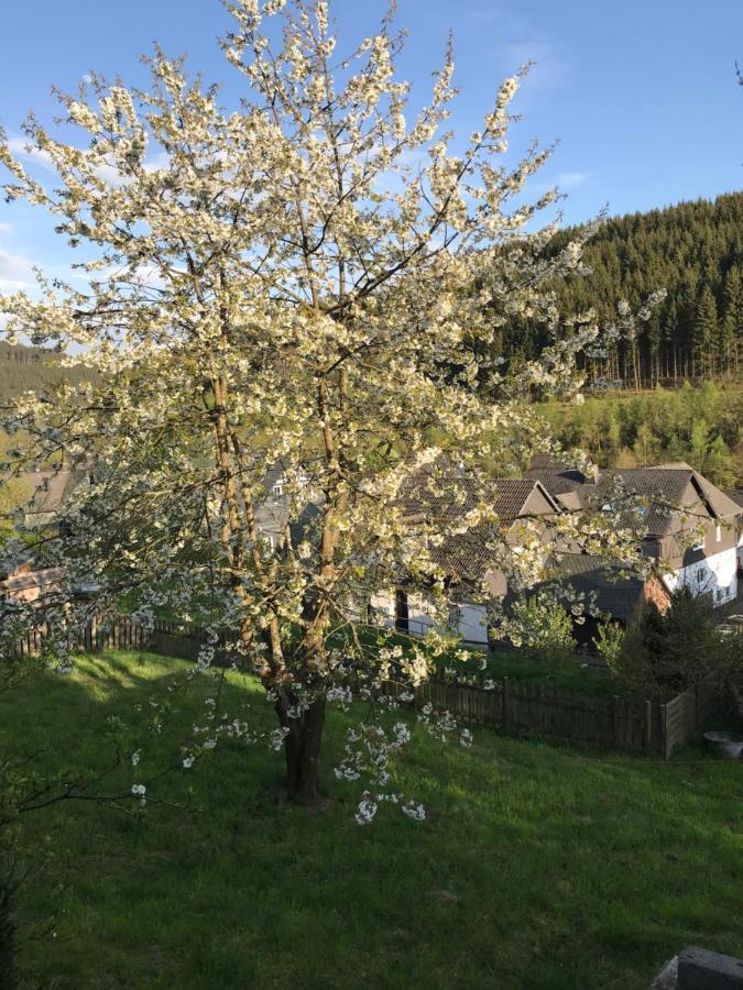 Landhuis Zueschen Villa Winterberg Dış mekan fotoğraf